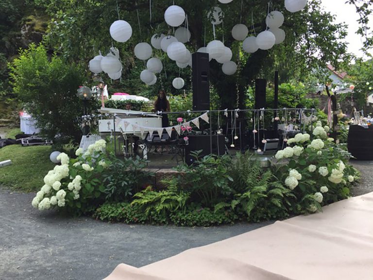 In einem Park auf einer kleinen Erhebung unter einem Baum sitzt ein Pianist an einem weißen Flügel. Daneben steht eine Frau in einem schwarzen schulterfreien Kleid und singt. Im Vordergrund wachsen weiße Hortensien. Der Baum ist mit weißen Luftballons und weißen Wimpeln für eine Hochzeit geschmückt.